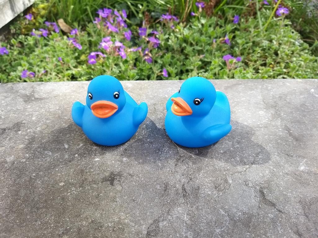 Canards lot de 2 plastique bleu vif orange eau bain piscine, Enlèvement ou Envoi, Neuf