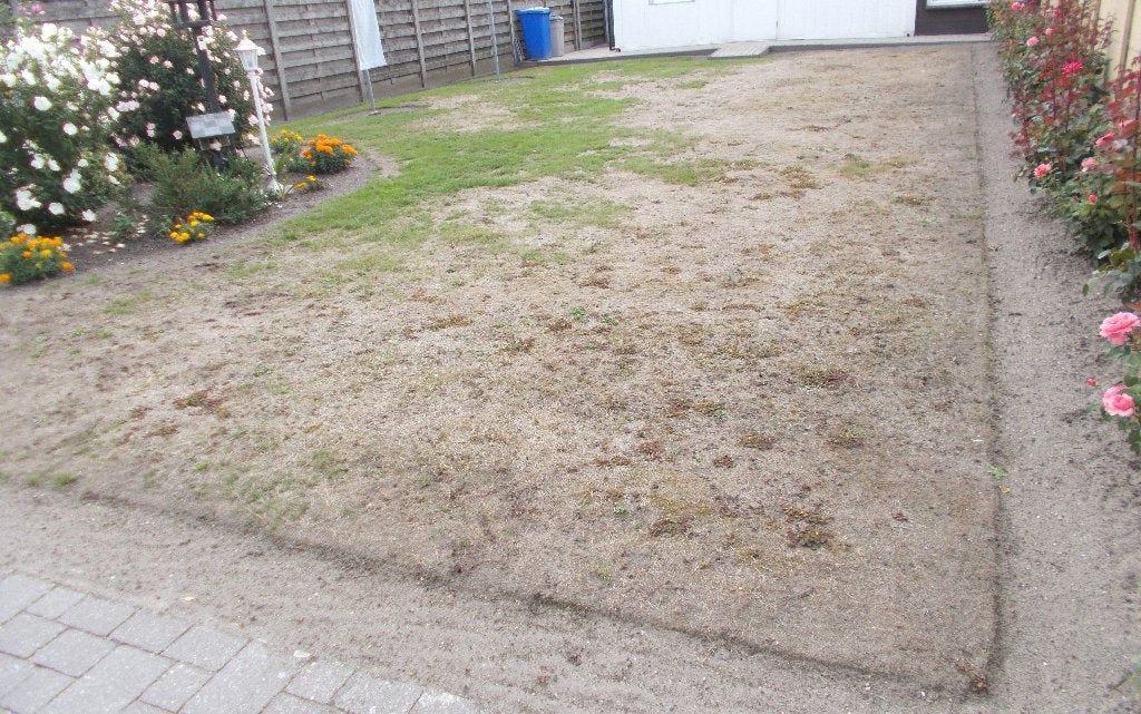 Zoek iemand die mijn Tuin kan heraan leggen, Tuin en Terras, Gras en Kunstgras, Ophalen of Verzenden, Gras