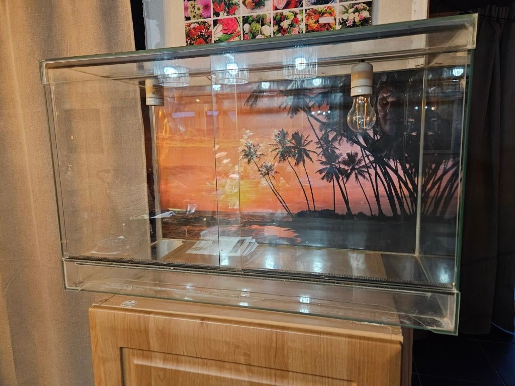 Longueur du terrarium 80 cm, largeur 40 cm et hauteur 50 cm, Enlèvement, Utilisé, Terrarium ou Paludarium