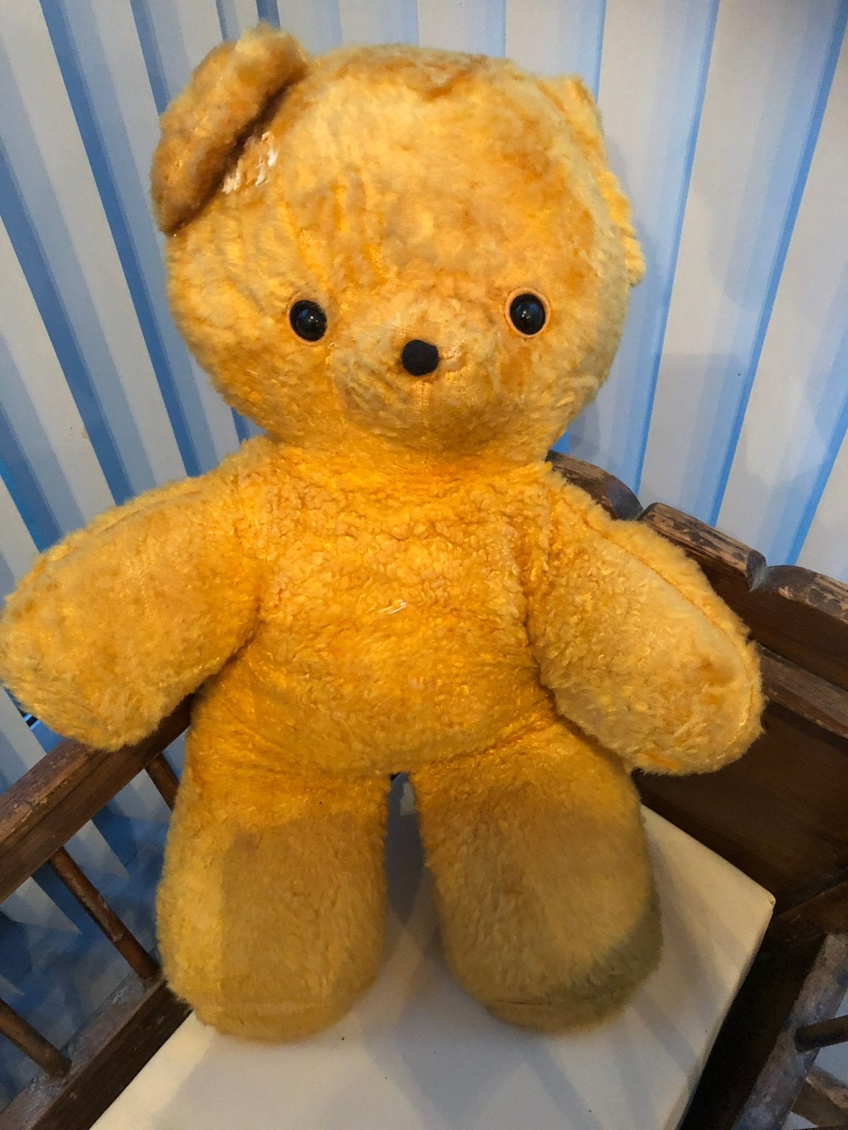 Oude gele teddybeer, Antiek en Kunst, Ophalen