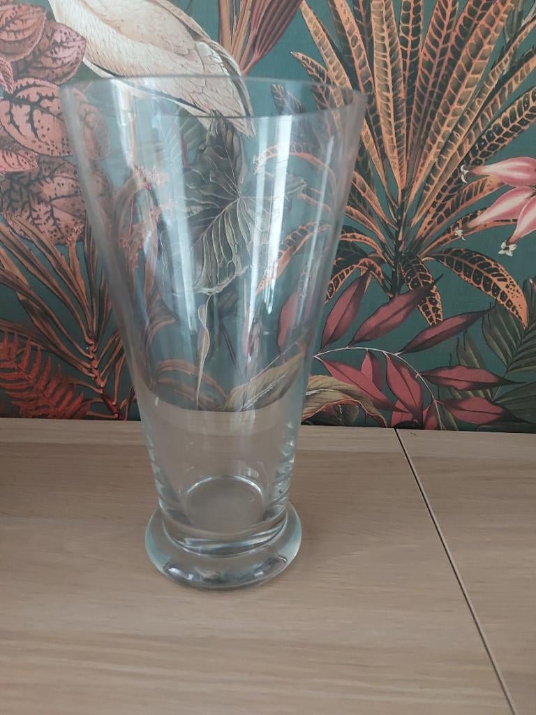 Vaas GRATIS, Huis en Inrichting, Ophalen, Gebruikt, Overige kleuren, 50 tot 75 cm