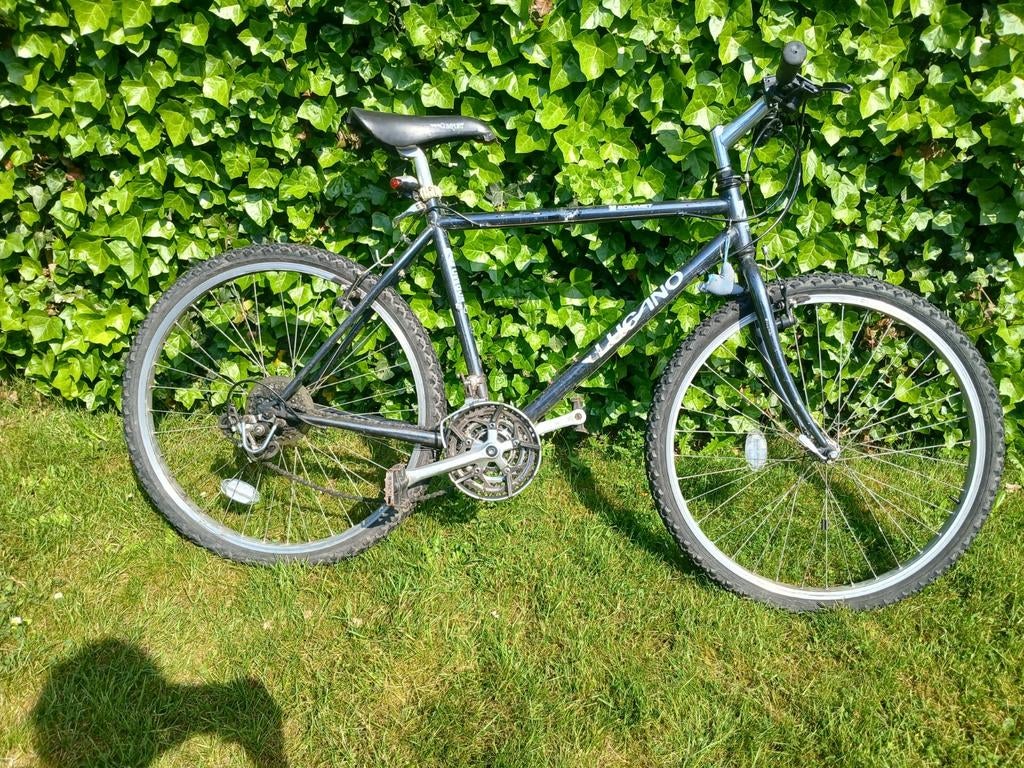 Fiets voor 13 plus, Fietsen en Brommers, Ophalen