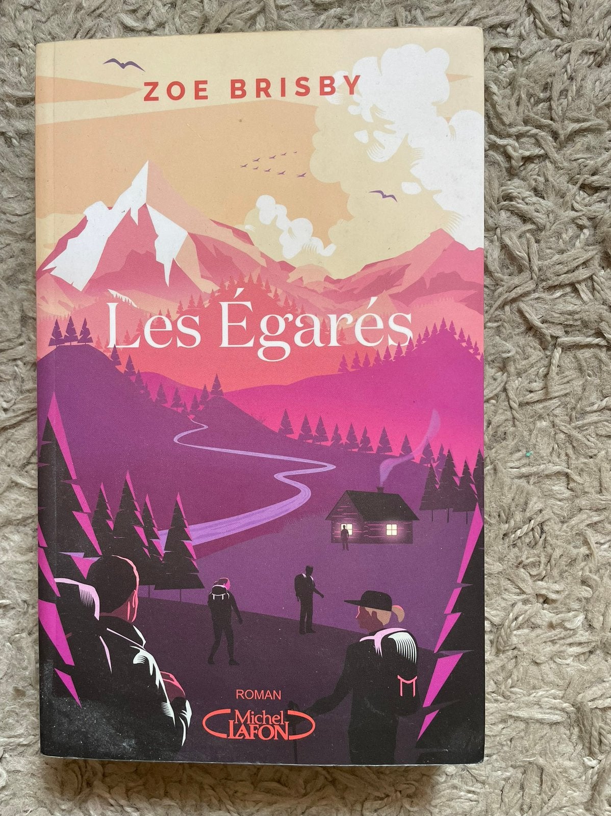 Livres pour ado, Livres, Enlèvement, Comme neuf