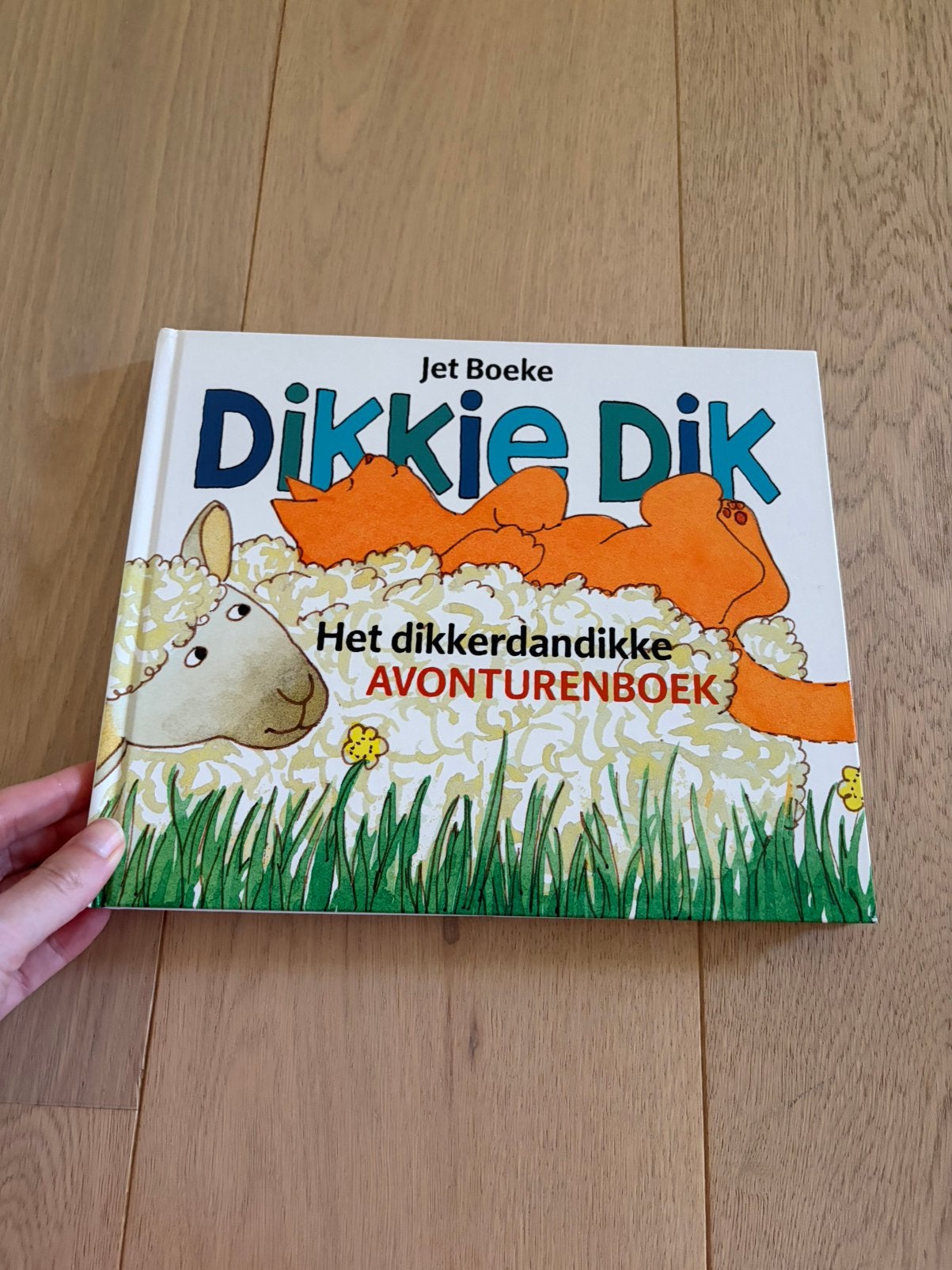 Dikkie Dik - het dikkerdandikke avonturenboek, Boeken, Ophalen of Verzenden, Zo goed als nieuw, 2 tot 3 jaar
