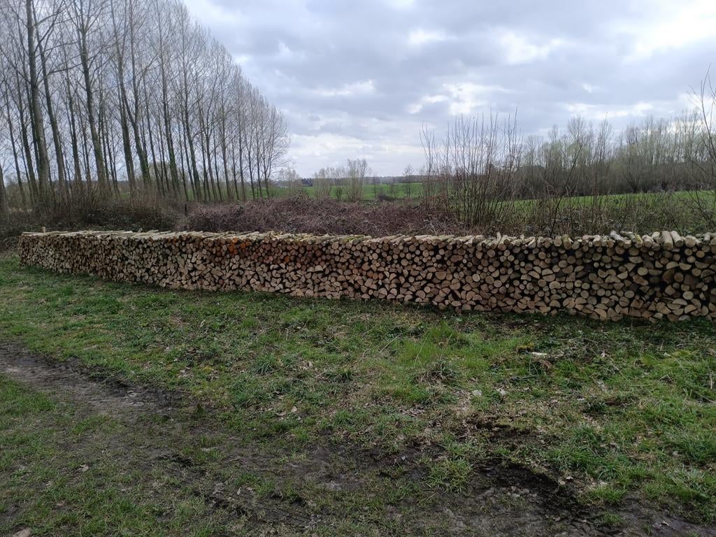 Bois de chauffage, Envoi
