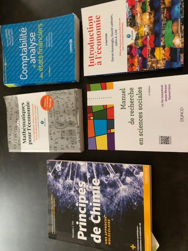 manuels scolaires, Enlèvement, Comme neuf, Autres niveaux, Économie