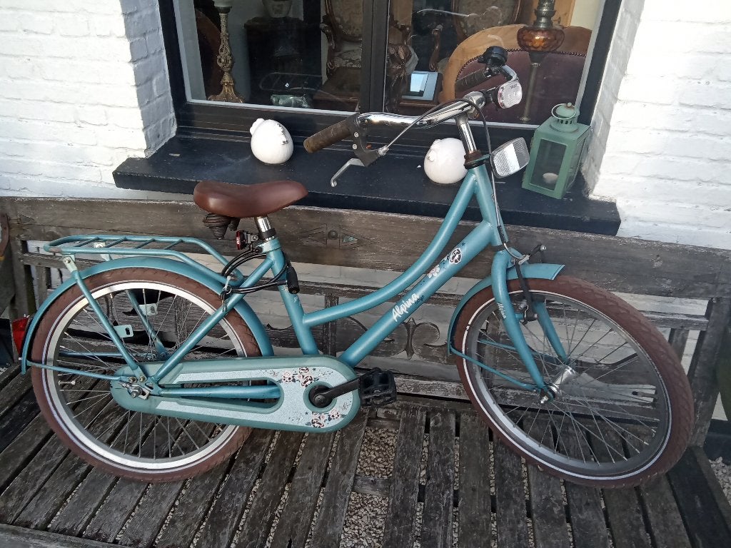 Kinderfiets 20 inch (meisjes) merk Alpina in mooie staat., Ophalen, 20 inch of meer, Velgrem, Alpina