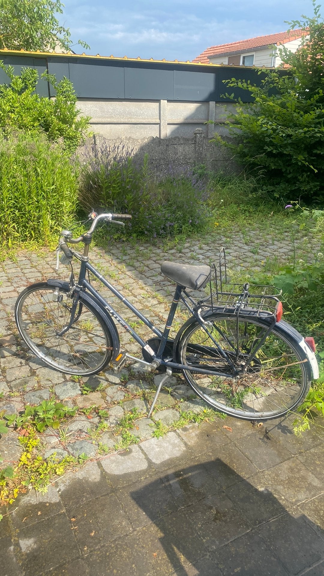 Damesfiets, Ophalen, Gebruikt, Overige merken