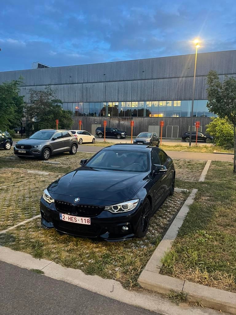 BMW 420i  !FULL OPTION!, Autos, Achat, Euro 6, Alcantara, Automatique
