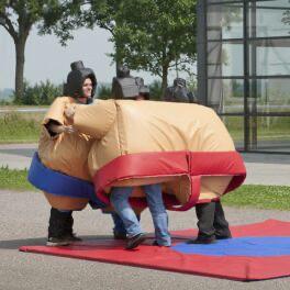 Sumo jumeau, Ophalen, Gebruikt