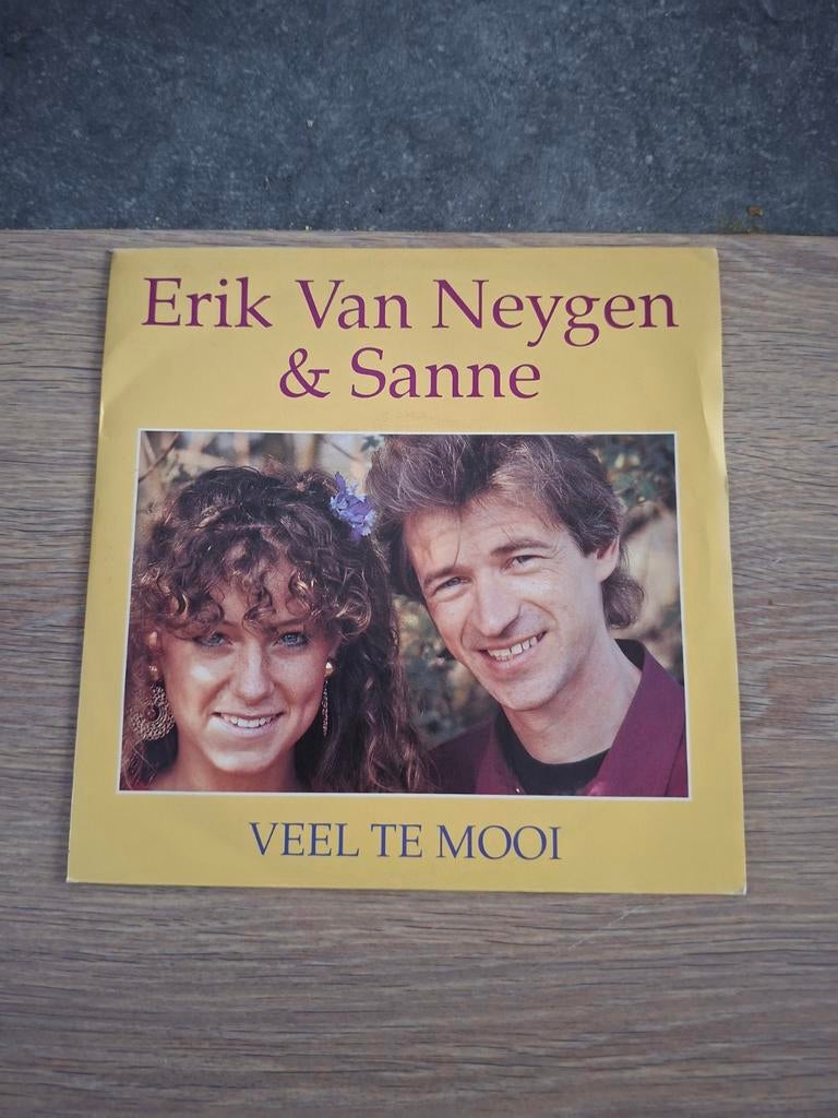 7' vinyl singel van Erik van neygen & Sanne, Cd's en Dvd's, Ophalen