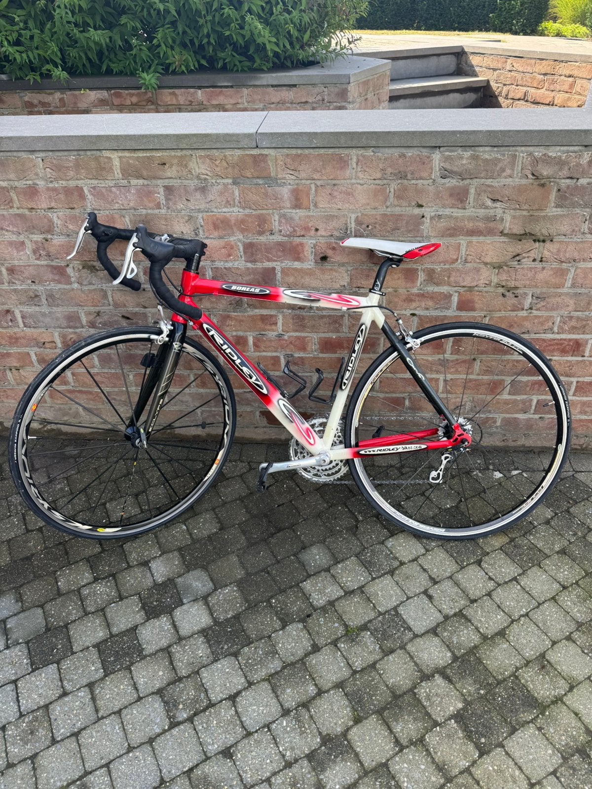 Koersfiets Ridley, Fietsen en Brommers, Ophalen, Gebruikt, Dames, Overige merken