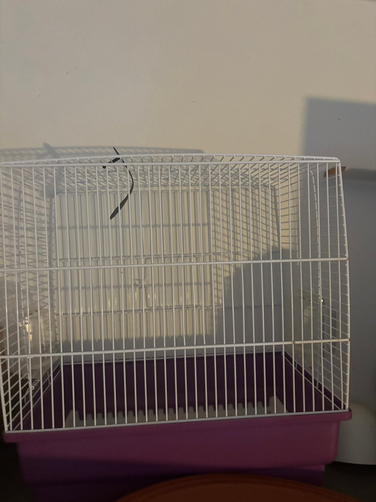 2 vogeltjes+grote kooi+kleine kooi inbegrepen, Dieren en Toebehoren, Vogels | Hokken en Kooien, Ophalen, Gebruikt, Vogelkooi
