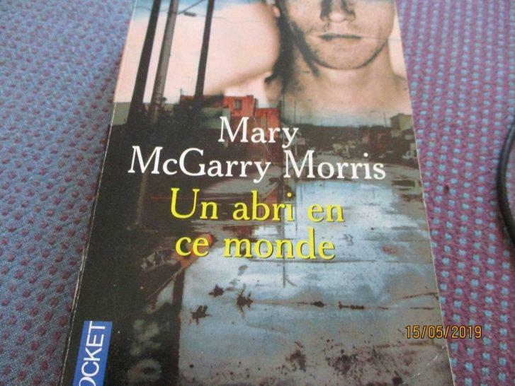 livre "un abri en ce monde". mary mcgarry morris., Ophalen of Verzenden, Gelezen