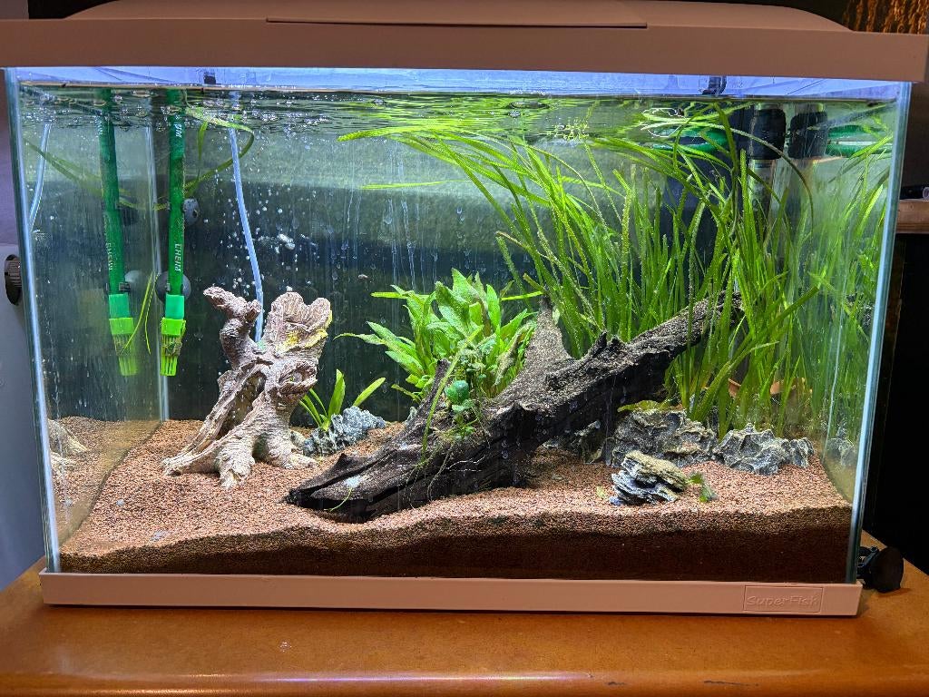 Complete aquarium, Dieren en Toebehoren, Ophalen, Zo goed als nieuw, Gevuld zoetwateraquarium