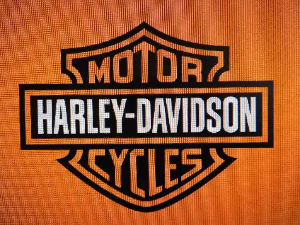 Softail Ironead Dyna Panhead Touring Vrsc Sporter Vrcs HD, Motoren, Onderdelen | Harley-Davidson, Ophalen of Verzenden