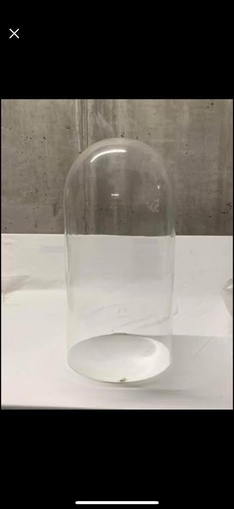 Grote glazen stolp (3x), Ophalen, Zo goed als nieuw