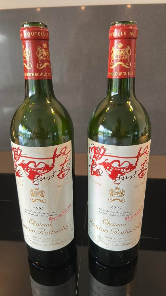 Bouteilles vides de Mouton Rotschild 1995, Collections, Vins, Utilisé, Vin rouge, France, Enlèvement ou Envoi