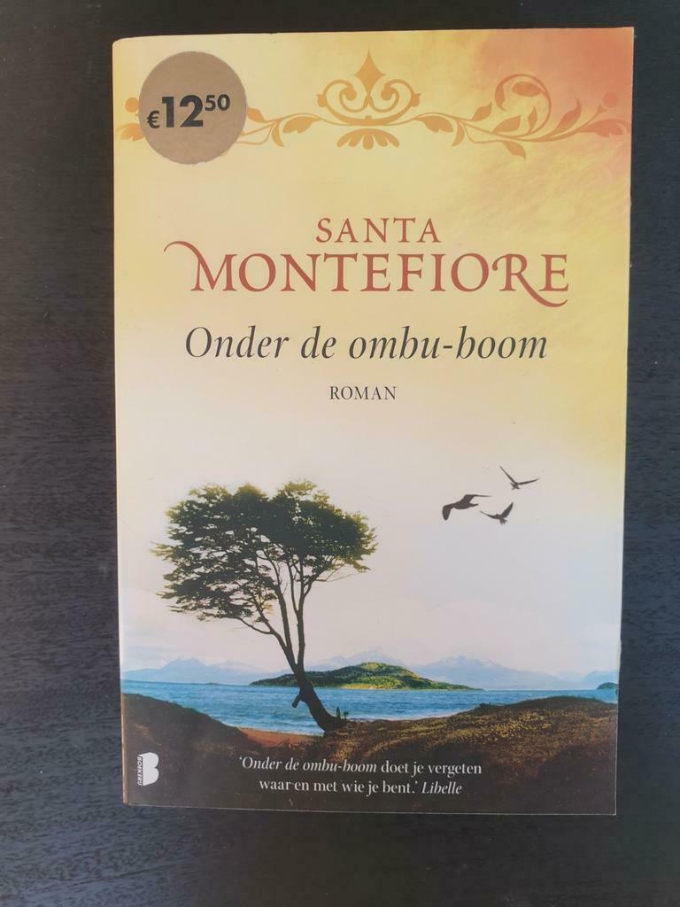 Leesboek - Onder de ombu- boom - Santa Montefiore, Ophalen of Verzenden, Zo goed als nieuw, Santa Montefiore