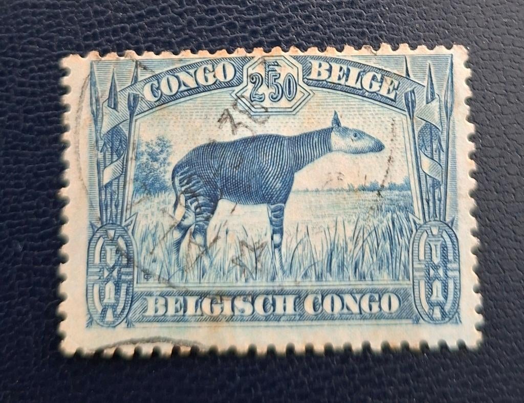 Timbre OBP 178A du Congo belge, tamponné, Enlèvement ou Envoi, Oblitéré