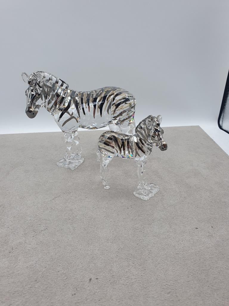 Swarovski SCS 2021 Zebra Amai met veulen., Ophalen of Verzenden