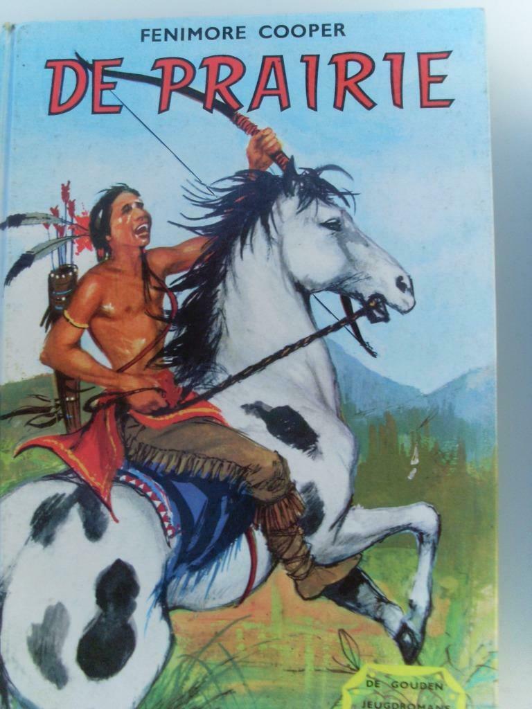 Fenimore Cooper De prairie, Enlèvement ou Envoi, Utilisé, Non-fiction