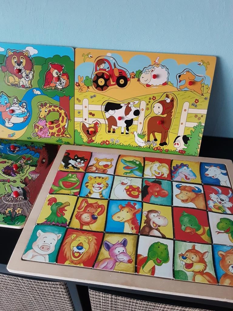Mooie houten inlegpuzzels in prima staat, Ophalen