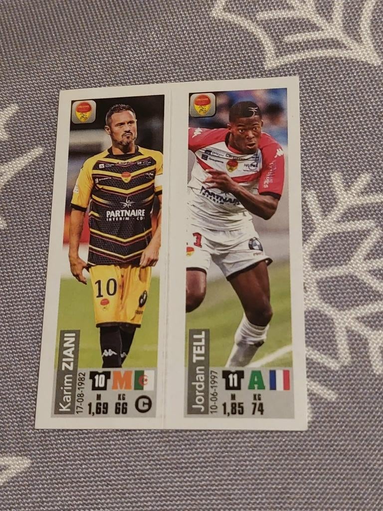 Panini / Sticker / US Orléans / Foot 2018-2019, Collections, Articles de Sport & Football, Neuf, Affiche, Image ou Autocollant