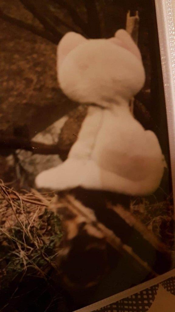 !GEZOCHT! - poesje teddybeer, Kinderen en Baby's, Speelgoed | Knuffels en Pluche, Gebruikt, Ophalen of Verzenden
