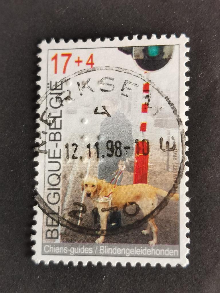 Belgie 1998 - blindegeleidenhond - met brailleschrift, Ophalen of Verzenden, Gestempeld