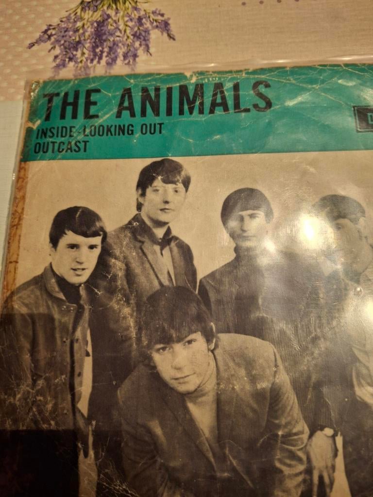 The animals, Enlèvement ou Envoi, Comme neuf