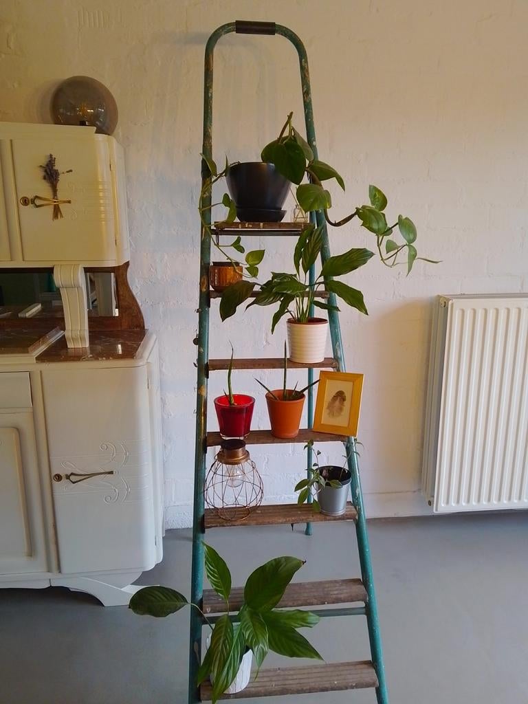 Oude ladder - plantenstandaard - decoratie, Huis en Inrichting, Woonaccessoires | Etagères, Gebruikt, Ophalen