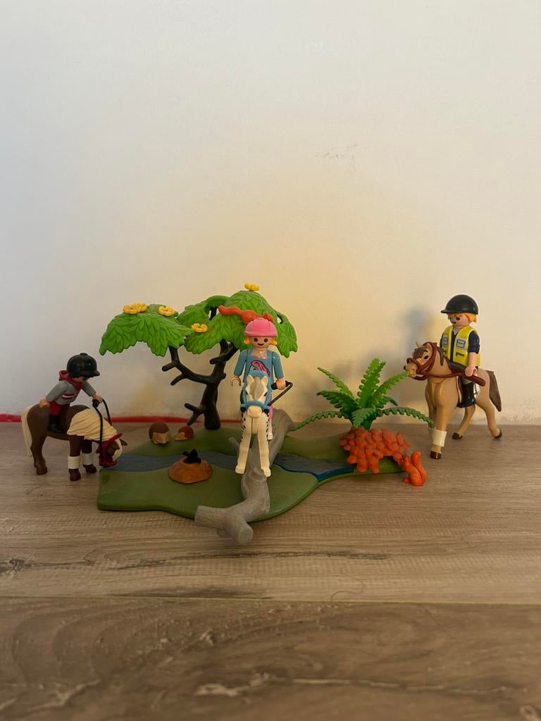Playmobil buitenrit 5658, Ophalen of Verzenden, Gebruikt, Complete set