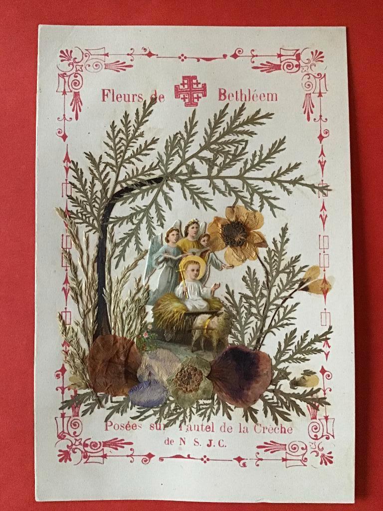relikwie Gedroogde bloemen van Bethlehem, Ophalen of Verzenden, Bidprentje