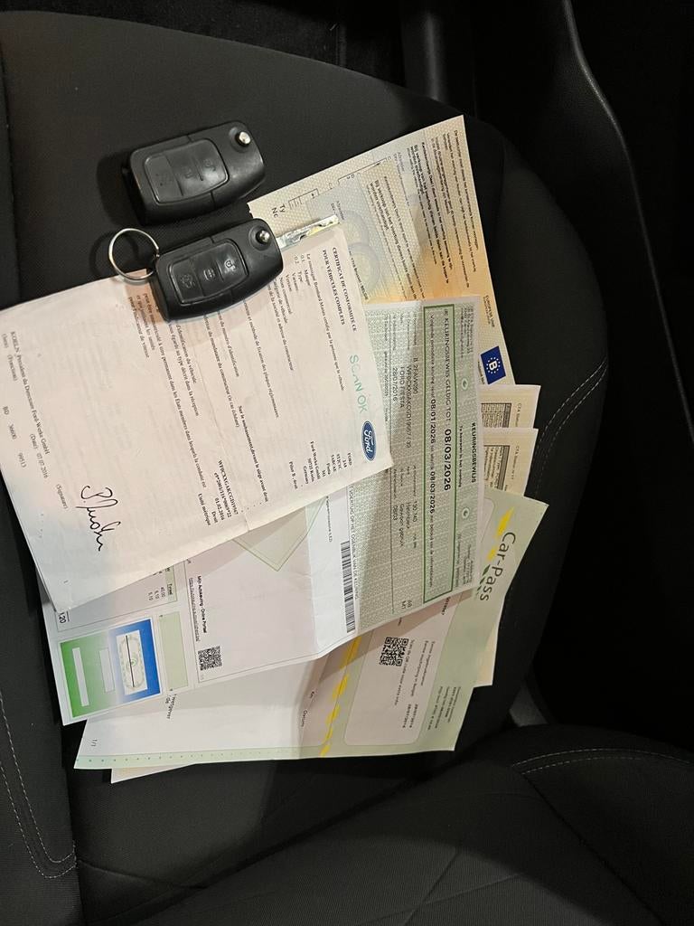 - Ford Fiesta - 1.25 essence - BJ 07/2016 - 130 000km - PDC, 1242 cm³, Achat, Boîte manuelle, Noir