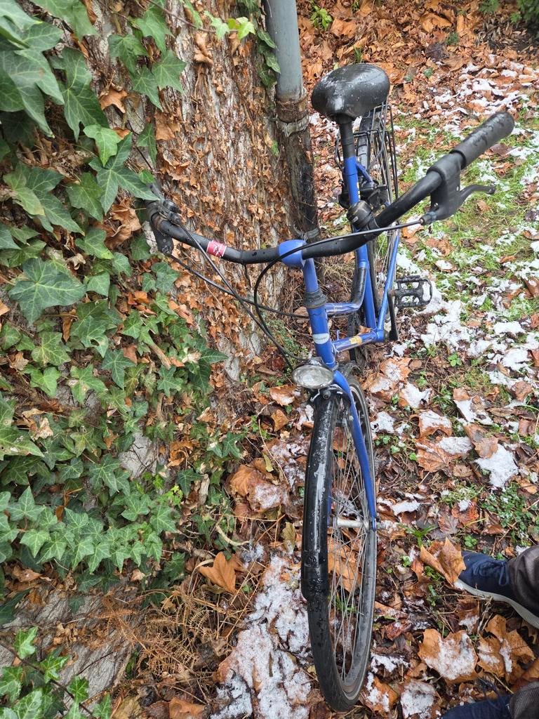 Damesfiets te koop, goede staat, Vitesses, Batavus, Enlèvement, Utilisé