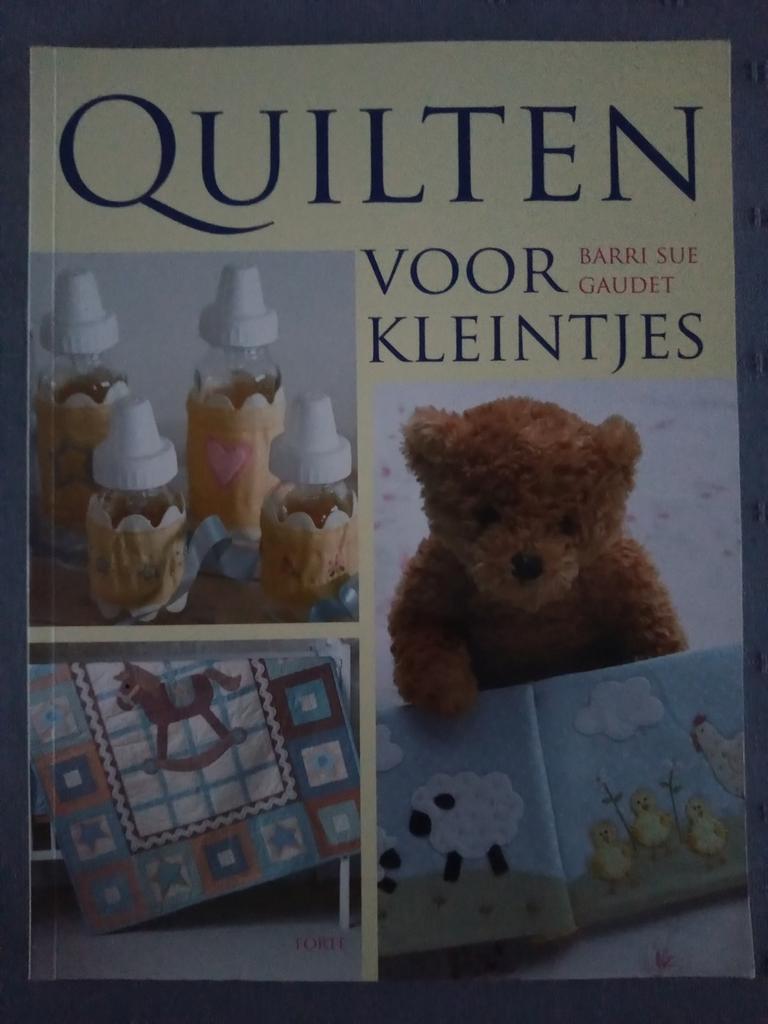 Barri Sue Gaudet - Quilten voor kleintjes, Barri Sue Gaudet, Ophalen of Verzenden, Zo goed als nieuw