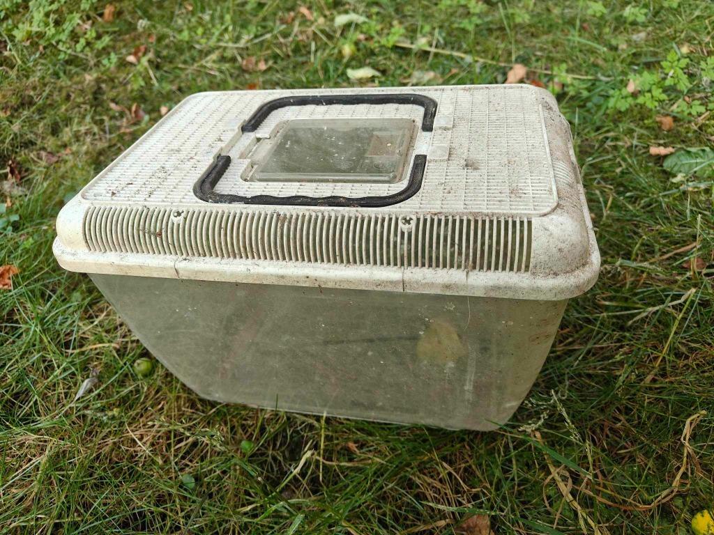 Boite transport petit animal, Cage de voyage ou Boîte de transport, Moins de 60 cm, Cobaye, Utilisé