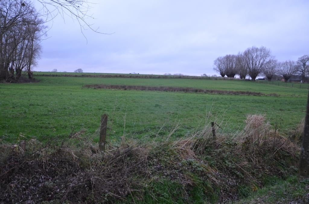 weiland / hooiland, Immo, Pajottegem, Verkoop zonder makelaar, 1500 m² of meer