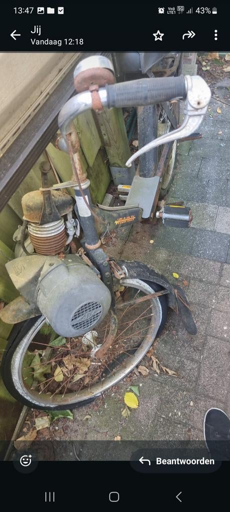 solex schuurvonds, Enlèvement