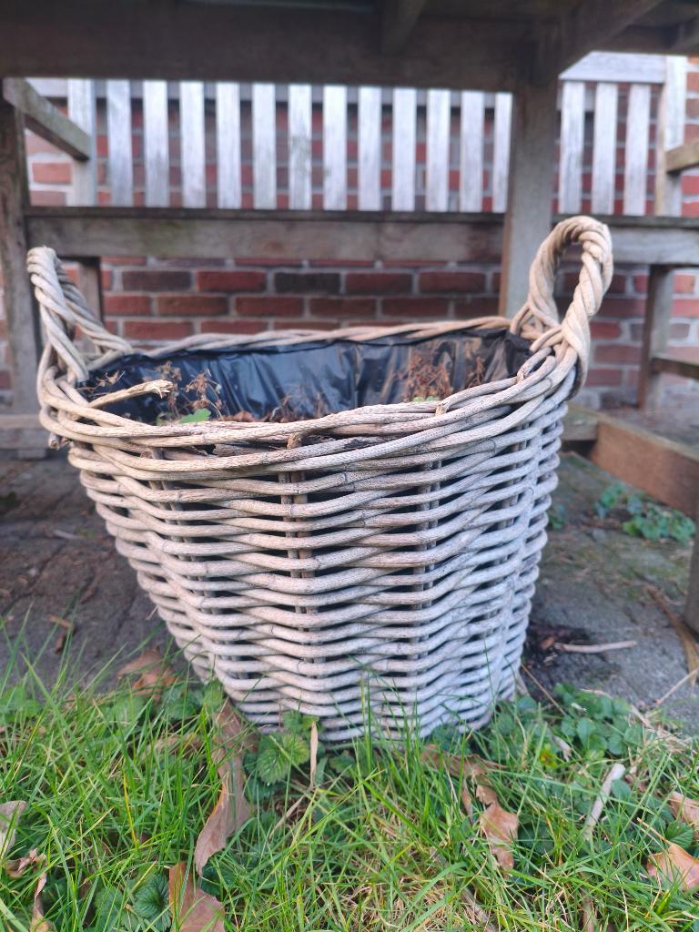 gratis bloempotten, Tuin en Terras, Bloempotten, 25 tot 40 cm, Overige materialen, Gebruikt, Ophalen of Verzenden
