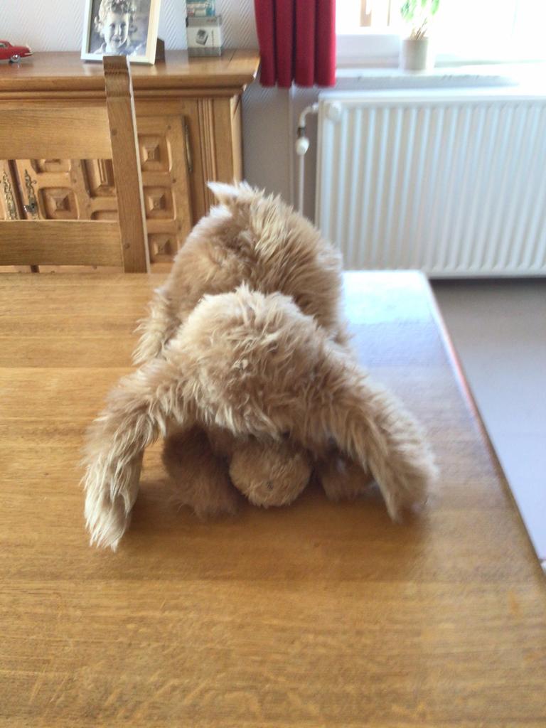Chien en peluche pour pyjama, Enlèvement, Comme neuf, Chien
