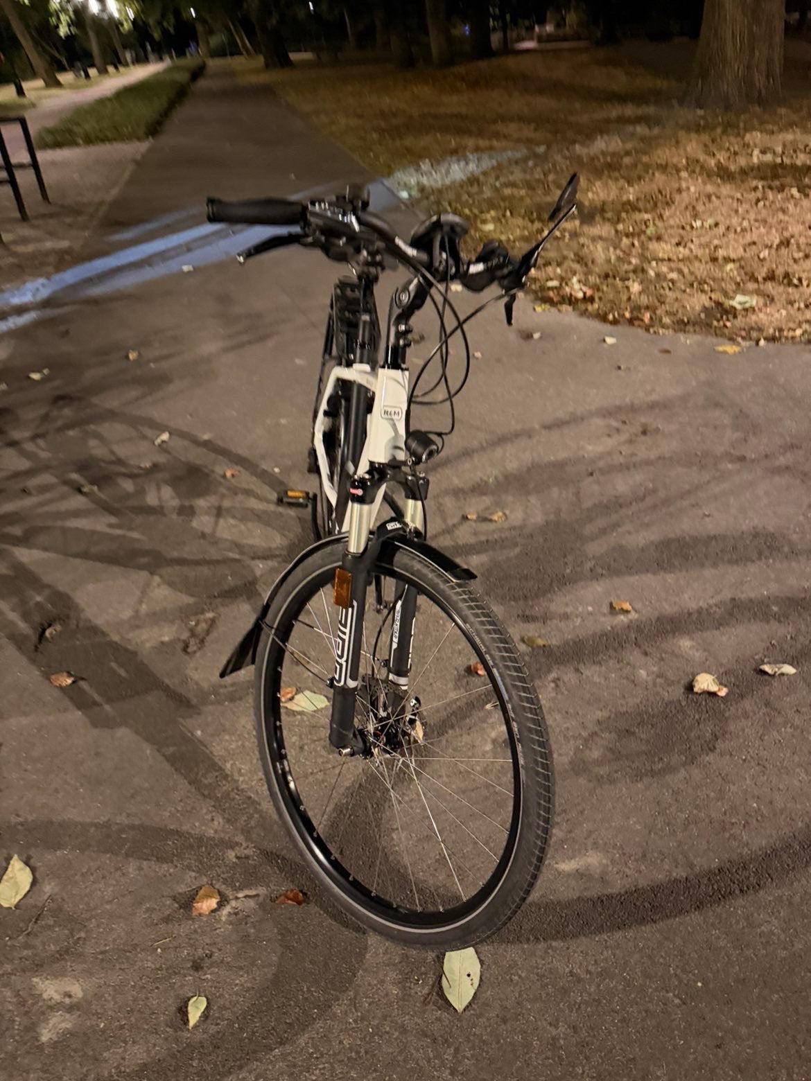 Reis & Muller, Fietsen en Brommers, Ophalen, Zo goed als nieuw