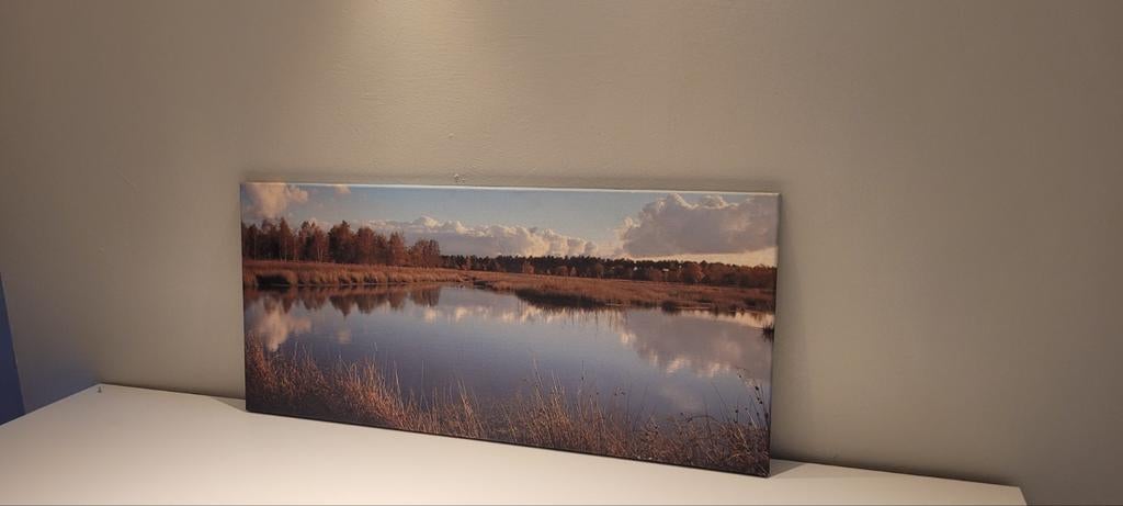 Canvas doek met heide ven op  90 op 40 cm, Hobby & Loisirs créatifs, Trains miniatures | Échelles Autre, Enlèvement