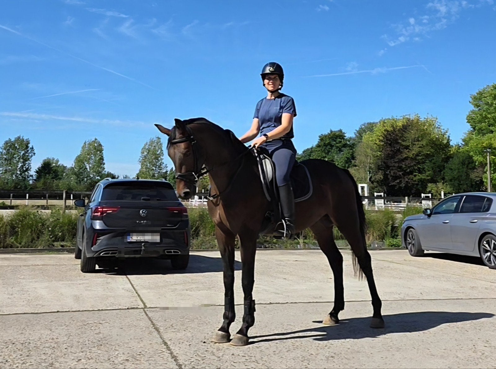 Dressuur ruin, veel uitstraling, sjiek bewegen en braaf, Cheval de dressage, B, 160 à 165 cm, 3 à 6 ans