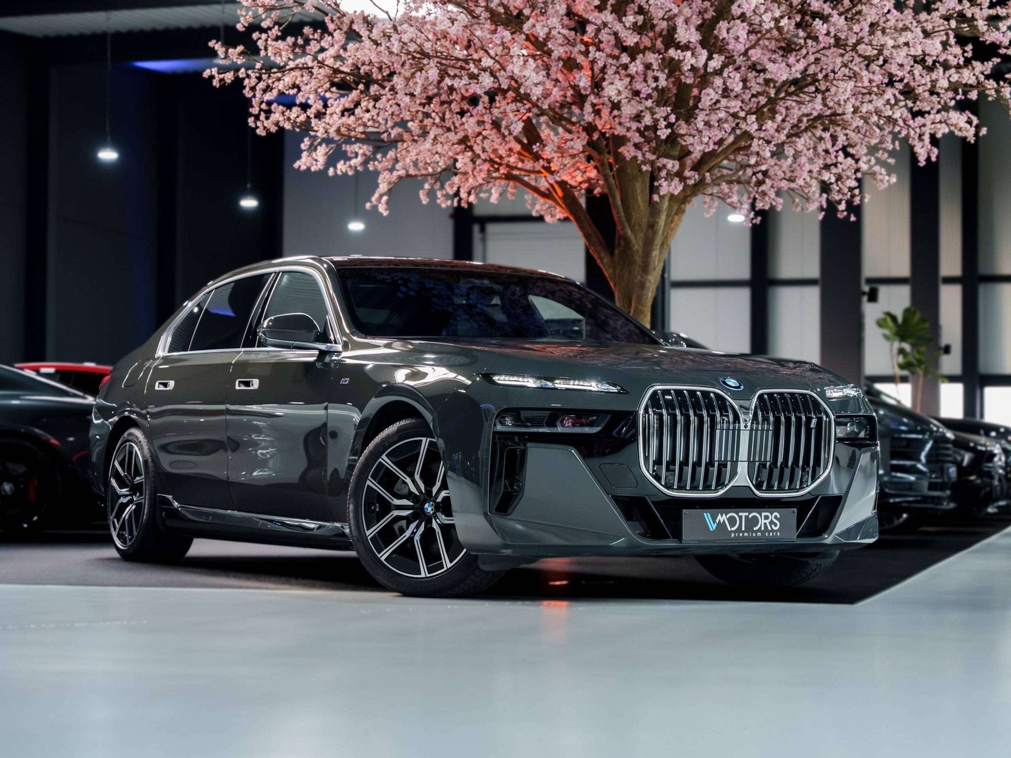 BMW i7 xDrive60 - 101.7 kWh - M Sport - Executive Lounge - T, Cuir, Argent ou Gris, Achat, 4 portes
