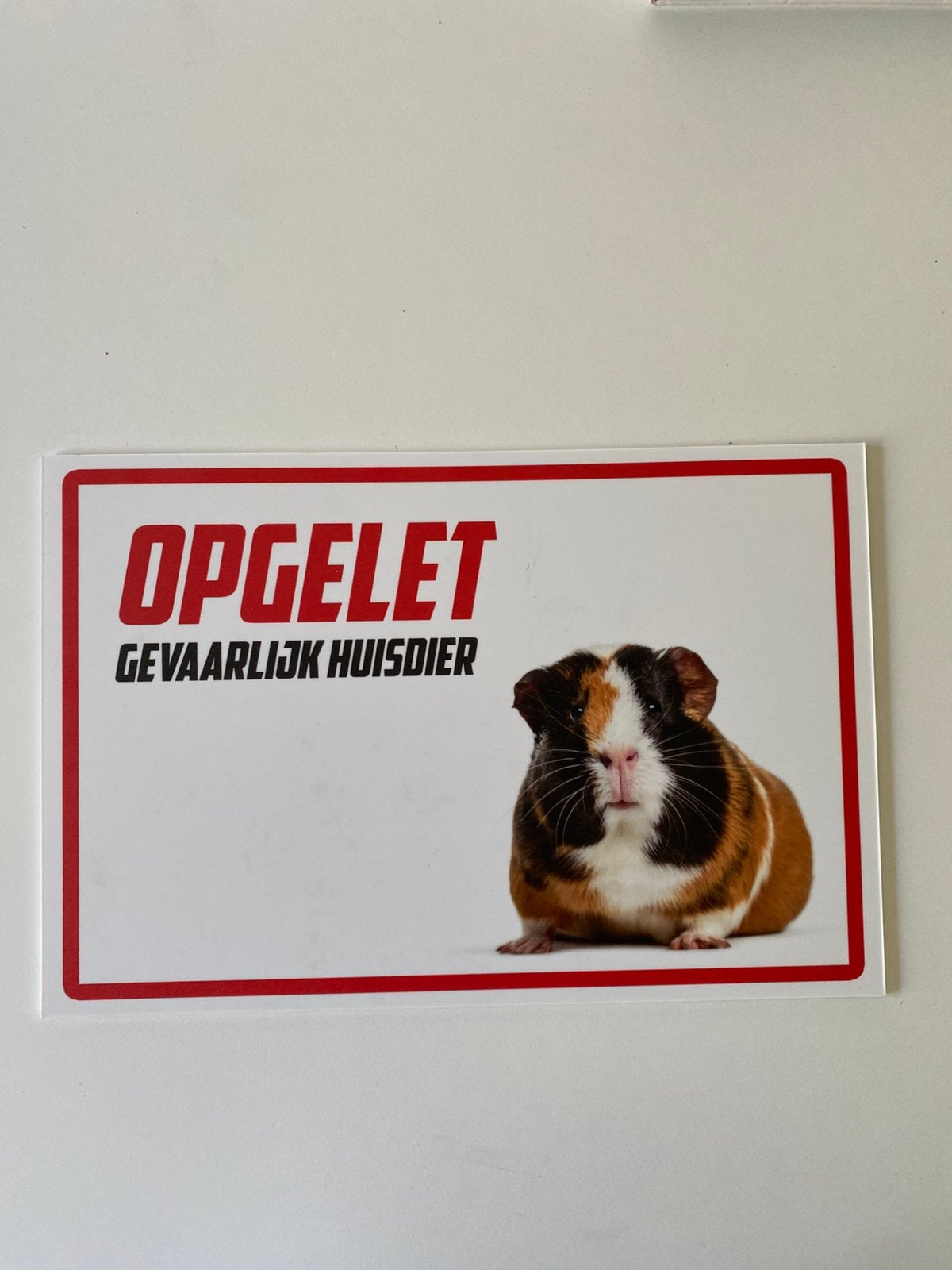 Waakbord cavia’s, Animaux & Accessoires, Rongeurs & Lapins | Accessoires, Enlèvement ou Envoi