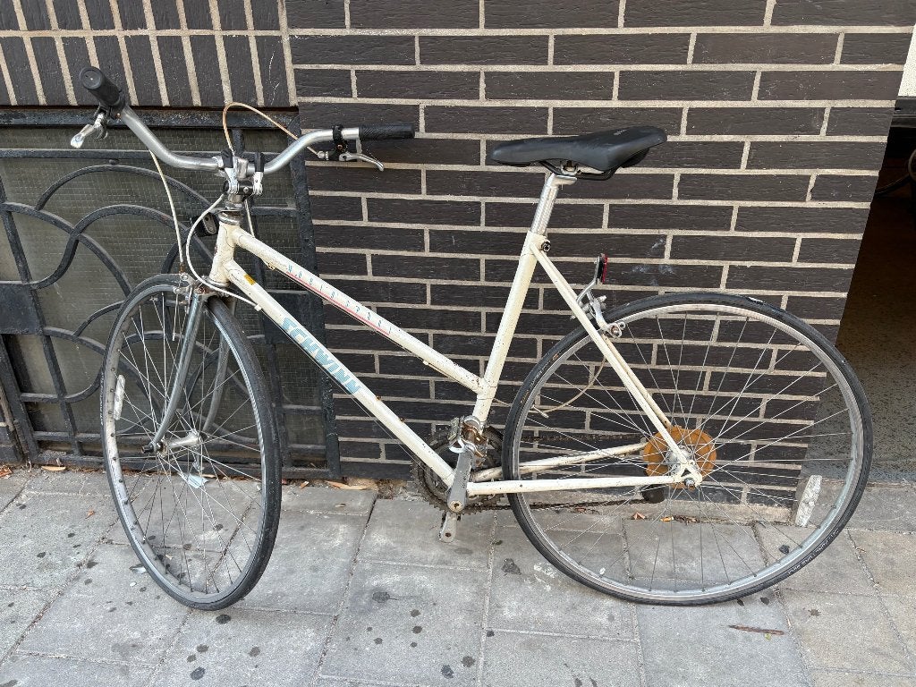 SCHWINN fiets, Fietsen en Brommers, Gebruikt, 47 tot 50 cm, Versnellingen, Schijfrem
