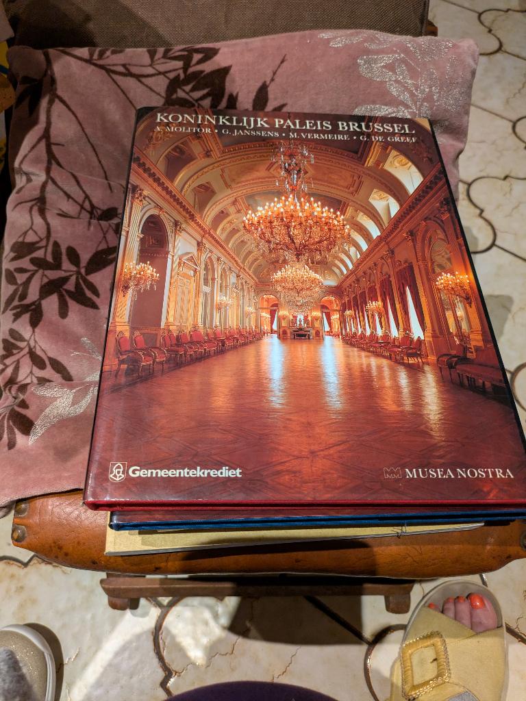 Koninklijk paleis Brussel, Verzamelen, Koningshuis en Royalty, Ophalen of Verzenden, Zo goed als nieuw, Tijdschrift of Boek