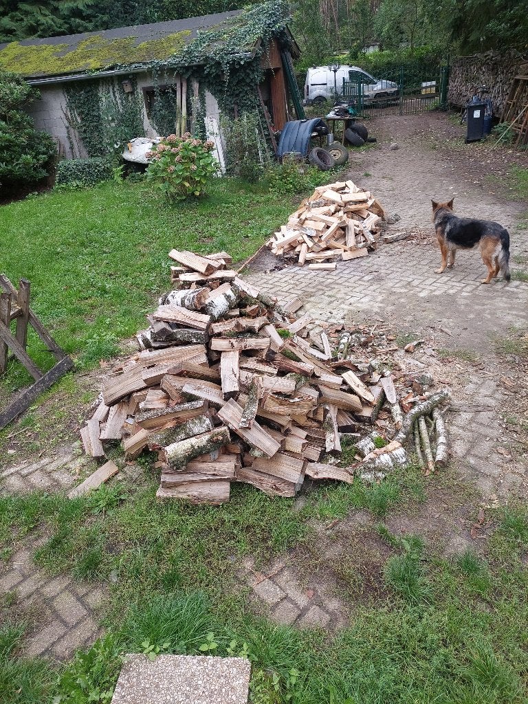 brandhout  2.5 m³, Tuin en Terras, Ophalen